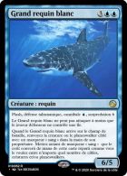 [SHA] Déferlante de requins rare